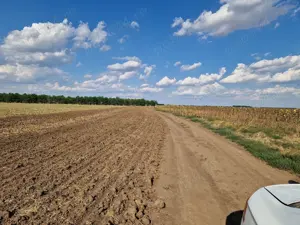 Vand teren Frumusani - imagine 2