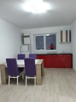 Dumbravita_Proprietara_Vand 1 2 Duplex de 200 mp utili, MOBILAT SI UTILAT - imagine 3
