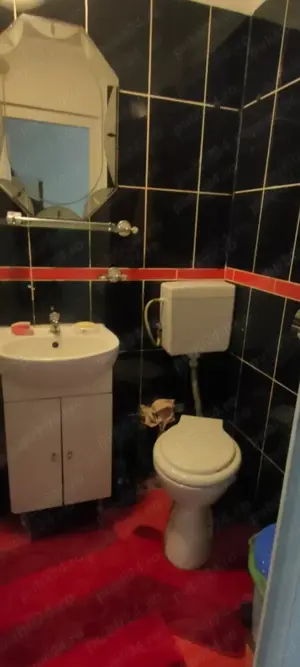 Apartament 1 camera Steaua de vânzare  - imagine 12