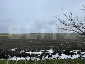 Casă individuală - Teren 9.300 mp - Finisată/Mobilată - Vadu Moldovei  - imagine 12