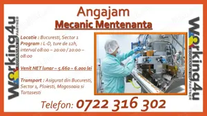 Mecanic Mentenanta