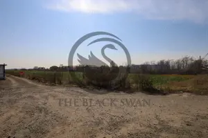 Teren de vanzare/inchiriere | 7800mp | Parcul Industrial | COMISION 0% - imagine 4