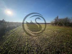 Teren intravilan de vanzare | 12.650 mp | Ghirdoveni, | Comision 0%