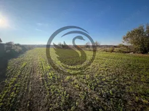 Teren intravilan de vanzare | 12.650 mp | Ghirdoveni, | Comision 0% - imagine 4