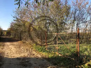 Teren intravilan de vanzare | 12.650 mp | Ghirdoveni, | Comision 0% - imagine 9