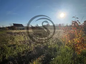 Teren intravilan de vanzare | 12.650 mp | Ghirdoveni, | Comision 0% - imagine 11