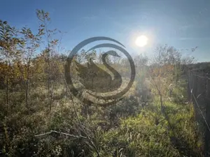 Teren intravilan de vanzare | 12.650 mp | Ghirdoveni, | Comision 0% - imagine 13