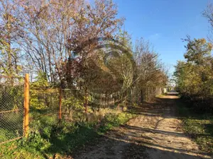 Teren intravilan de vanzare | 12.650 mp | Ghirdoveni, | Comision 0% - imagine 10