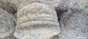 paie baloți rotunzi 130x120