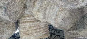 paie baloți rotunzi 130x120 - imagine 2