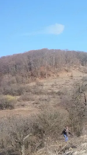 Livadă de vânzare 110 ha