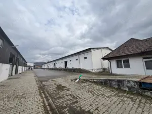De vanzare, inchiriere in Mures spatiu comercial, fabrica de nutreturi