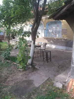 Casa batraneasca teren de vanzare Plataresti 20 km de Bucuresti - imagine 4