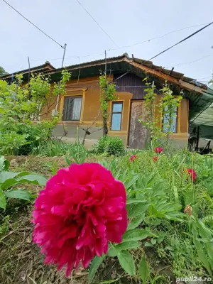 casă, com. Ileana, Călărași  - imagine 2