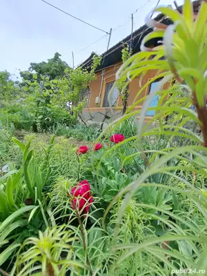 casă, com. Ileana, Călărași  - imagine 8