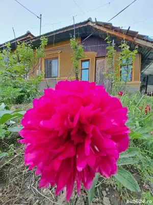 casă, com. Ileana, Călărași  - imagine 7