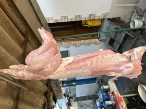 Carcasă iepure crescut natural - imagine 3