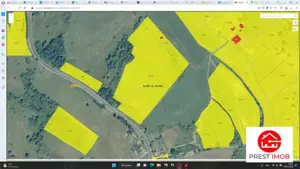 Teren agricol 4.2 ha Nades-Mures 2 euro mp - imagine 2