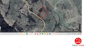 Teren agricol 4.2 ha Nades-Mures 2 euro mp