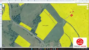 Teren agricol 4.2 ha Nades-Mures 2 euro mp - imagine 5