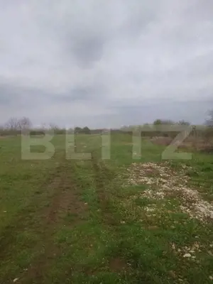 Teren intravilan, 3515 mp, zona Crevedia - imagine 6