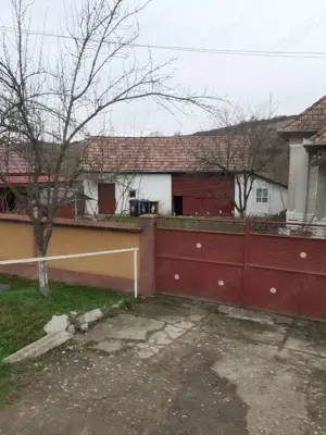 Casa de vanzare in localitatea Bunesti - imagine 3
