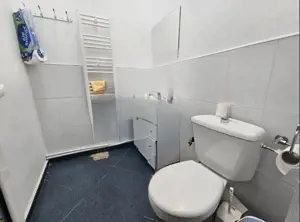 Trocadero, spatiu comercial , 2 CAI DE ACCES, 83 mp. - imagine 9