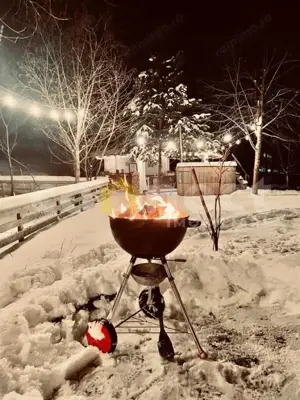 Pensiune de vanzare in Viseu De Sus, Maramures - zona de vis, Valea Vinului - imagine 9