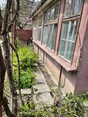 Oportunitate! Casa renovabila, 54mp, teren de 223mp, curte comuna, zona Horea ! - imagine 2