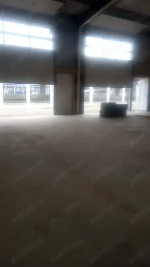 Hala de inchiriat,Lugoj, str Fagetului  - imagine 7