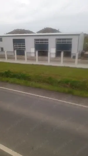 Hala de inchiriat,Lugoj, str Fagetului  - imagine 8