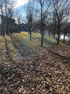 Casă țărănească autentică de vânzare în Sâncraiu - imagine 8