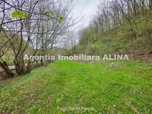 Teren intravilan 1.700 mp + 6.600 mp Padure de foioase + 1.200 mp Padure de foioase, Sat Nojag. - imagine 13