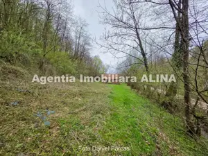 Teren intravilan 1.700 mp + 6.600 mp Padure de foioase + 1.200 mp Padure de foioase, Sat Nojag. - imagine 14