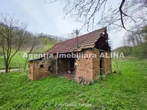 Teren intravilan 1.700 mp + 6.600 mp Padure de foioase + 1.200 mp Padure de foioase, Sat Nojag. - imagine 9