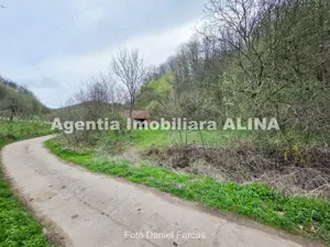 Teren intravilan 1.700 mp + 6.600 mp Padure de foioase + 1.200 mp Padure de foioase, Sat Nojag.