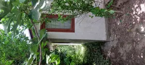 Casa si teren Murighiol - imagine 3