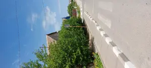 Casa si teren Murighiol - imagine 5