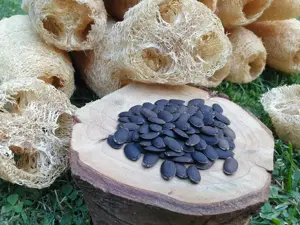 Seminte Lufa burete natural bio - imagine 2