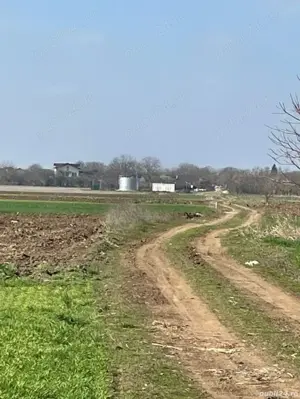 Teren Dascalu 5000 mp