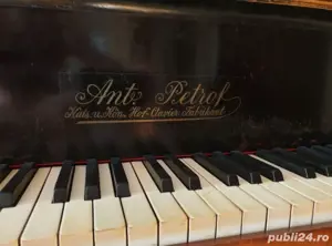 Pian Ant. Petrof coada scurta - imagine 3