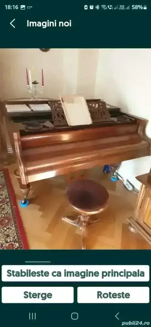 Pian Ant. Petrof coada scurta - imagine 2