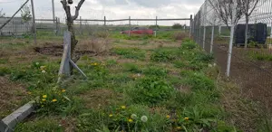 Teren de vanzare Techirghiol - imagine 4