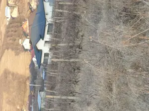 Vând teren intravilan Chicerea Tomesti 