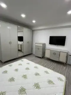 apartament cu doua camere in zona Baneasa - imagine 2