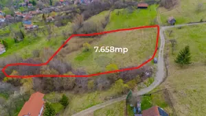 COMISION 0/Teren 7658 mp/Intravilan/Bran - imagine 6