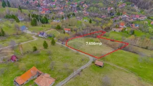 COMISION 0/Teren 7658 mp/Intravilan/Bran - imagine 4