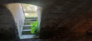 Casa solida saseasca + 2500mp teren, Bod - imagine 10