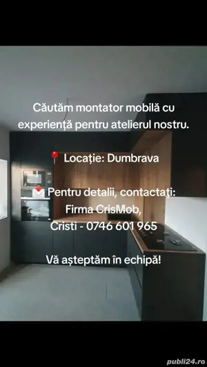 Angajăm montator mobilă cu experiență