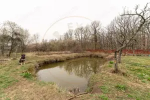 Casa cu lac priveliste superba spre padure 0% Comision - imagine 8